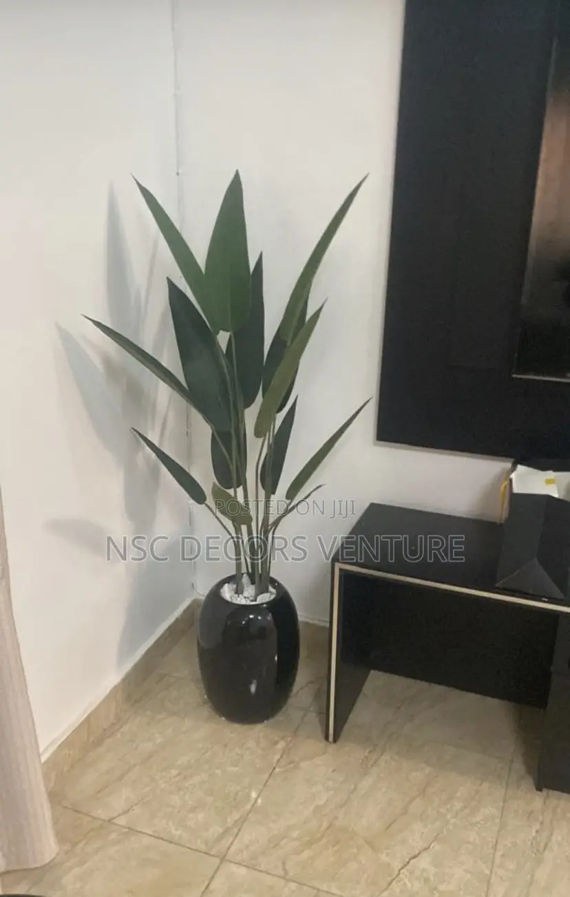 Interior Decoration