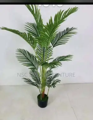 Interior Decoration