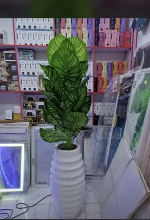 Interior Decoration