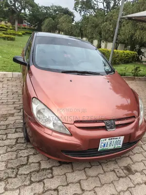 Peugeot 307 2002 Orange