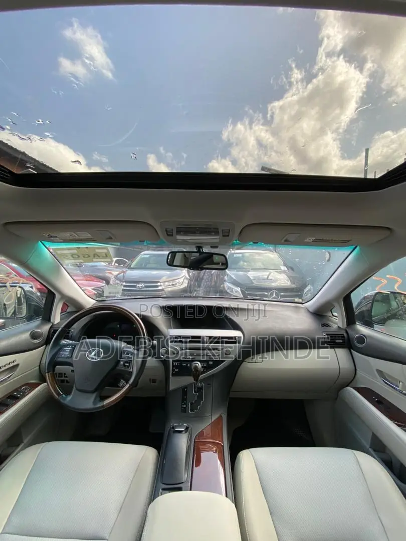 Lexus RX 2010 Gray
