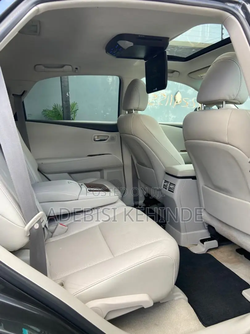 Lexus RX 2010 Gray