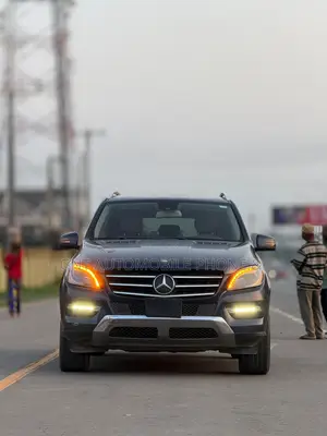 Mercedes-Benz M Class 2015 Black
