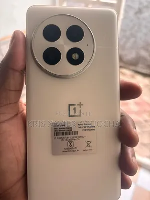 New OnePlus 13 256 GB White