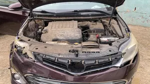 Toyota Avalon 2013 Burgundy