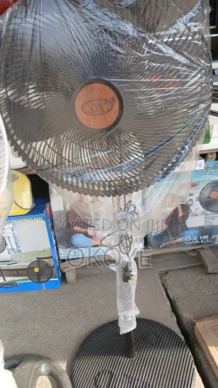 Standing Fan