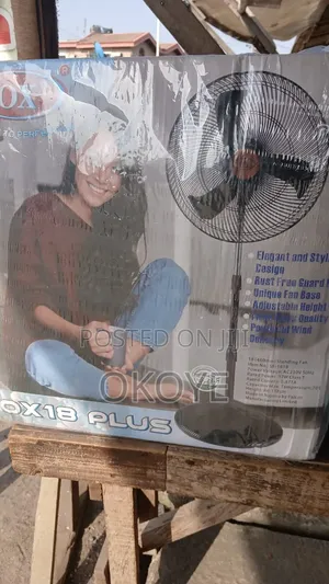 Standing Fan