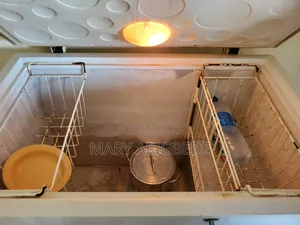 Haier Thermocool Deep Chest Freezer