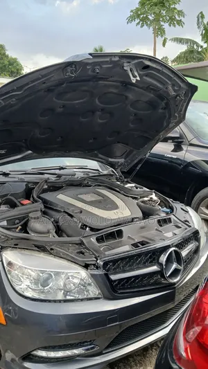 Mercedes-Benz C300 2010 Gray