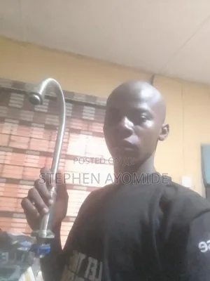 Professional Plumber