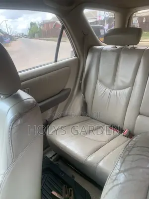Lexus RX 2003 Gold