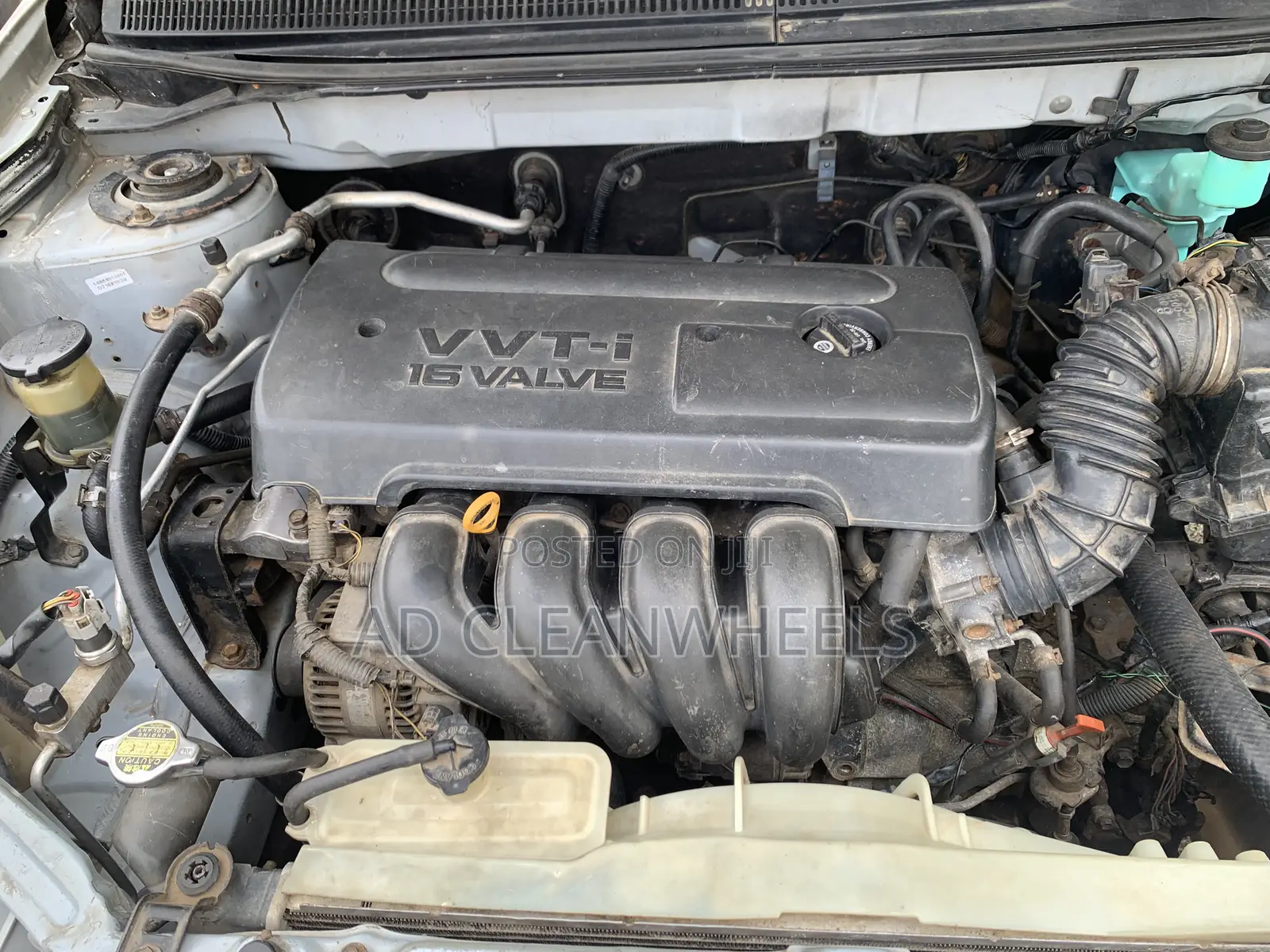 Toyota Matrix Hatchback FWD (1.8L 4cyl 5M) 2007 Silver