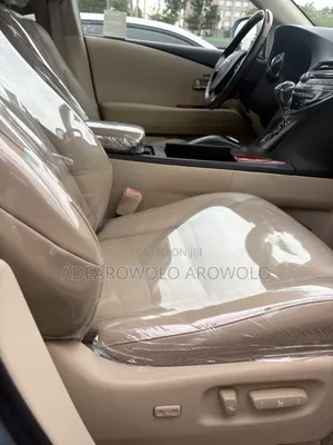 Lexus RX 2010 Blue