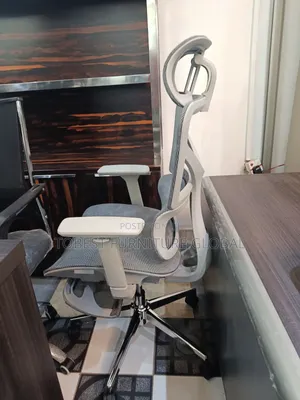 Premium Ergonomic Office Chair With Footrest Support