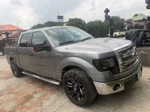 Ford F-150 2013 Gray