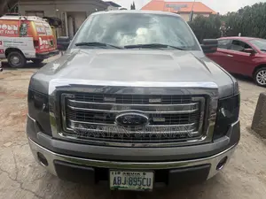 Ford F-150 2013 Gray