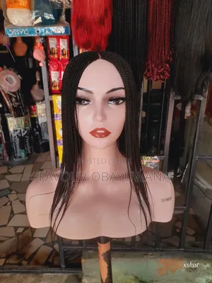 Braided Wig
