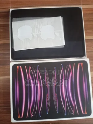 Apple iPad Pro 256 GB Gray