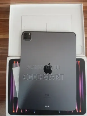 Apple iPad Pro 256 GB Gray