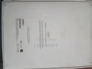 Apple iPad Pro 256 GB Gray