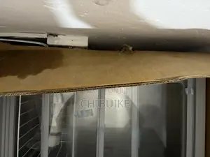 Snowsea Freezer