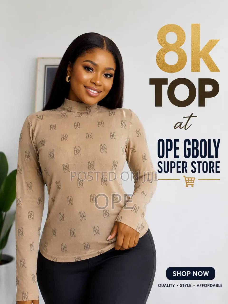 Turtle Neck Top