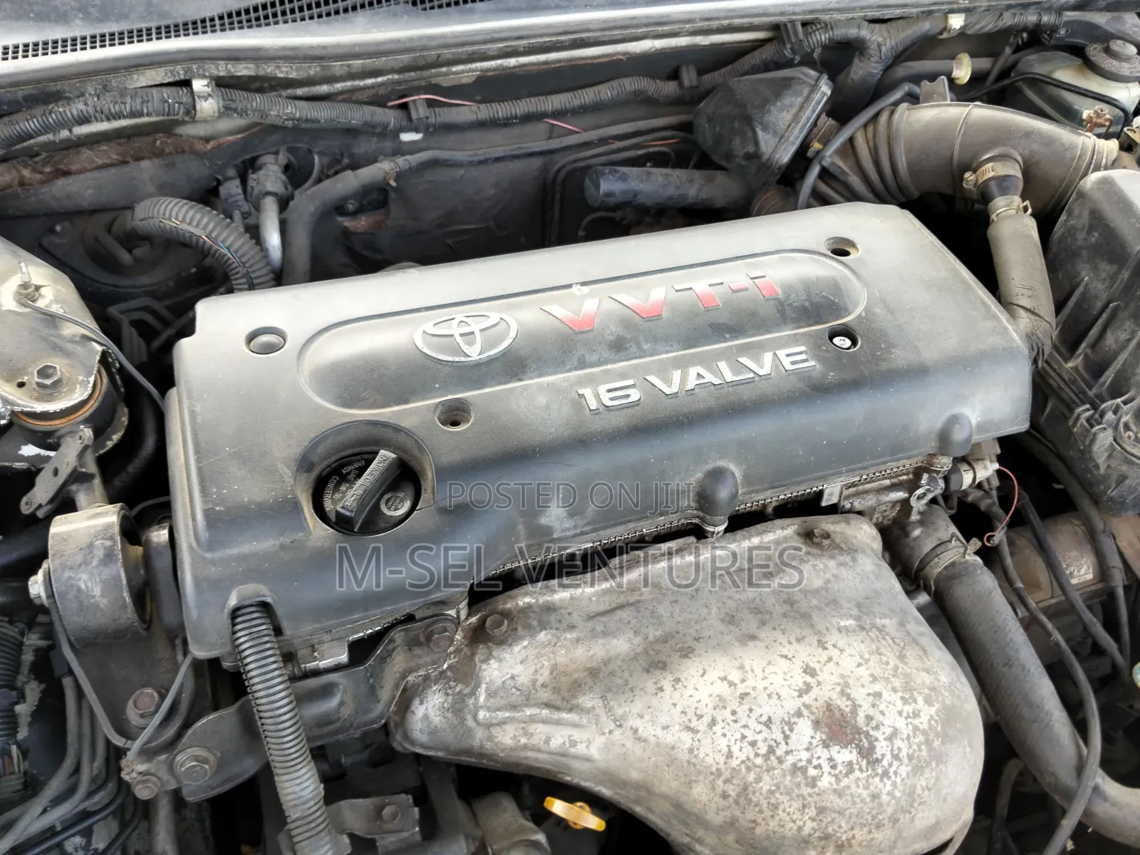 Toyota Camry SE 2024 Black