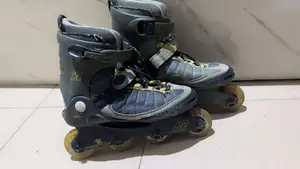 Roller Skate