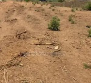 1.37 Hectares Mixed-Use Land for Sale in Dakibiyu