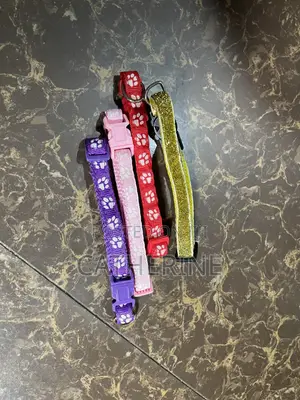 Pet Collars