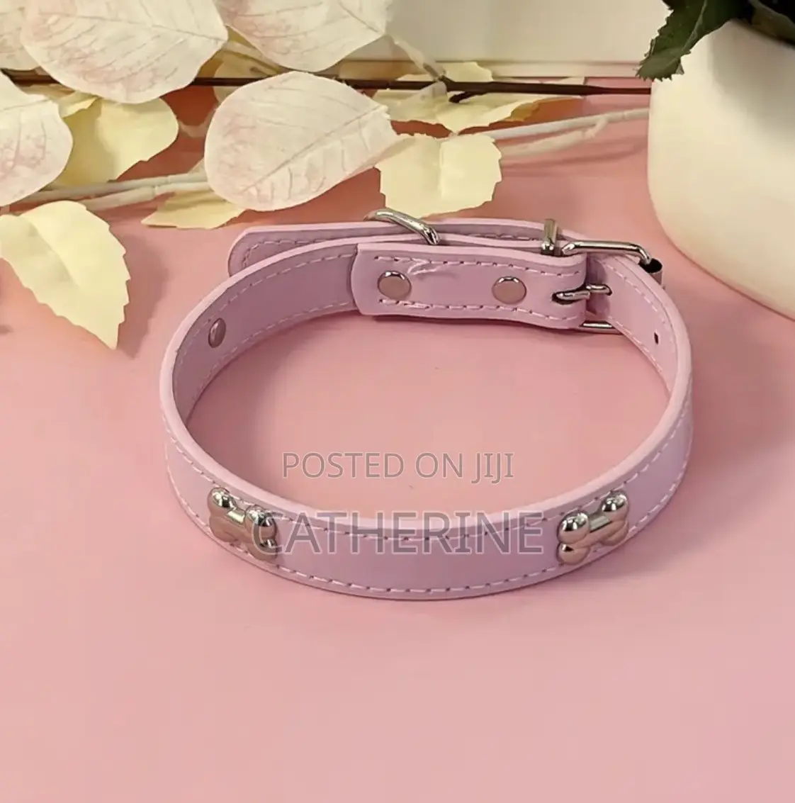 Pet Collars
