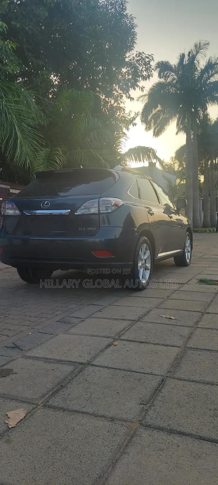 Lexus RX 2012 Gray