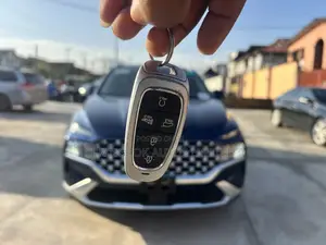 Hyundai Santa Fe Limited 2021 Blue
