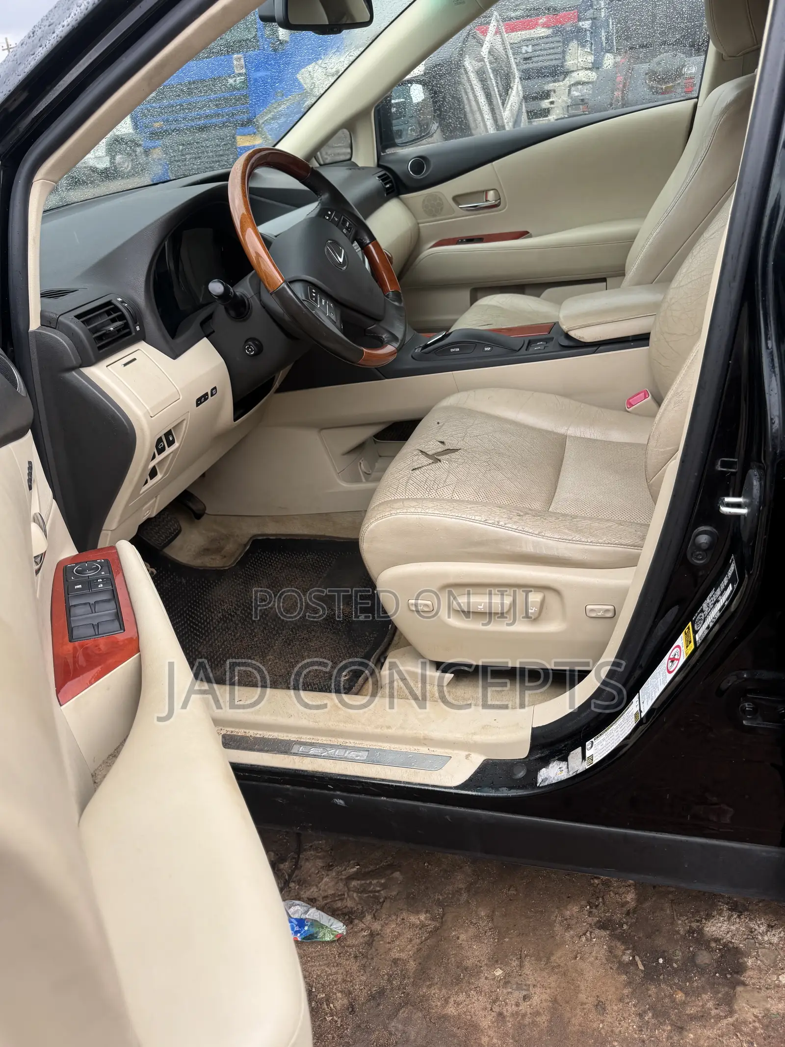 Lexus RX 2010 Blue