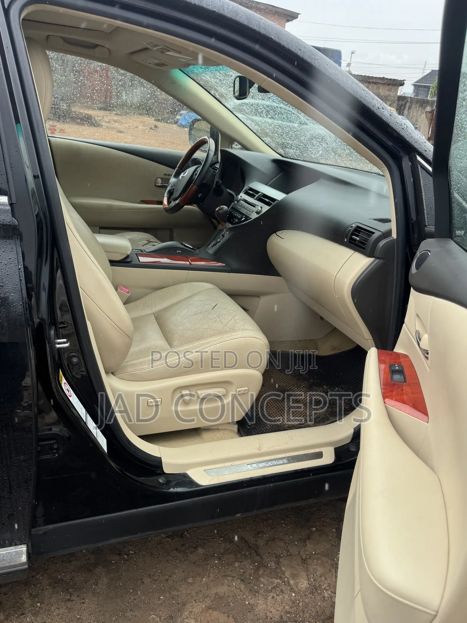 Lexus RX 2010 Blue