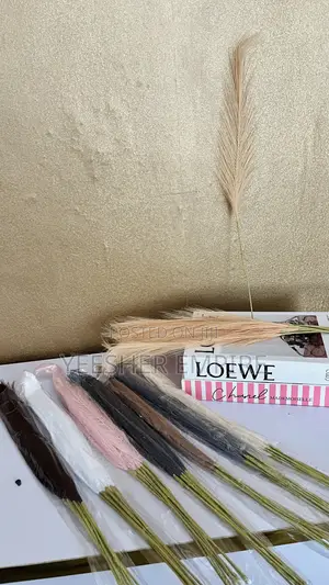 Pampas Flower for Table Vases