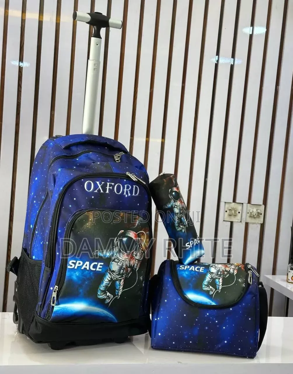 18" 3in1 Trolley School Bag