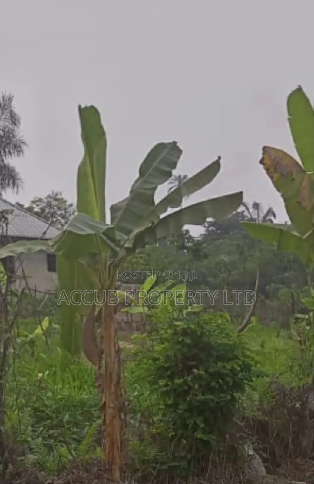 1 Plot Of Land For Sale At Ahoada