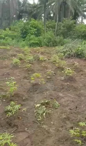 1 Plot Of Land For Sale At Ahoada