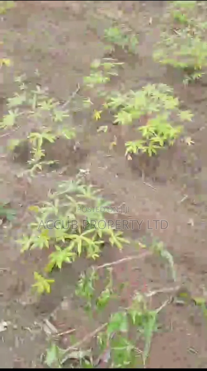 1 Plot Of Land For Sale At Ahoada