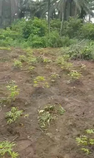 1 Plot Of Land For Sale At Ahoada