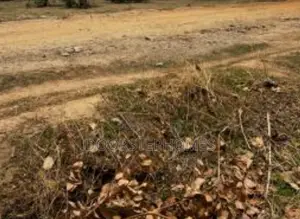 3265sqm Commercial Land for Sale in Dape