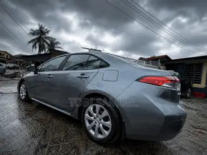 Toyota Corolla LE 2020 Gray