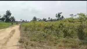 1400 Acres of Farmland for Sale at Odo Ose Village, Ijio, Iwajowa Lg