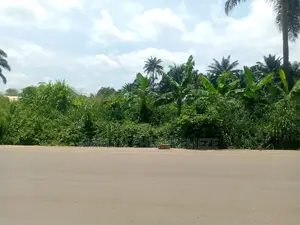 Pleasant Concept