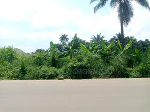 Pleasant Concept