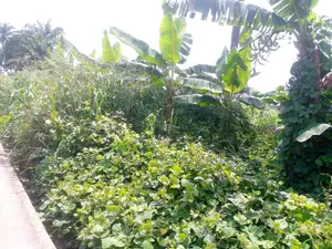 Pleasant Concept