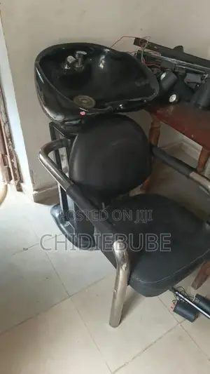 Ceramic Hair Washer