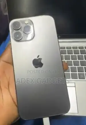 Apple iPhone 13 Pro Max 128 GB Gray