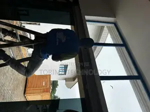 Automatic Sensor Frameless Door